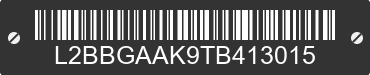 2026 BAODIAO 16 lines L2BBGAAK9TB413015 VIN decoded