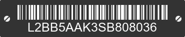 2025 BAODIAO 5 lines L2BB5AAK3SB808036 VIN decoded