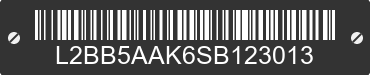 2025 BAODIAO 5 lines L2BB5AAK6SB123013 VIN decoded