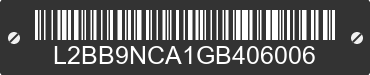 2016 BAODIAO 9 lines L2BB9NCA1GB406006 VIN decoded