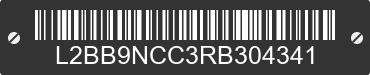 2024 BAODIAO 9 lines L2BB9NCC3RB304341 VIN decoded