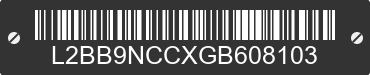 2016 BAODIAO 9 lines L2BB9NCCXGB608103 VIN decoded