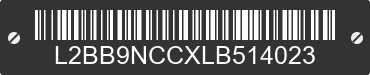 2020 BAODIAO 9 lines L2BB9NCCXLB514023 VIN decoded