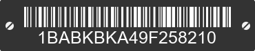 2009 BLUE BIRD All American / All Canada 1BABKBKA49F258210 VIN decoded