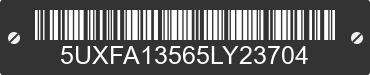 2005 BMW X5 5UXFA13565LY23704 VIN decoded