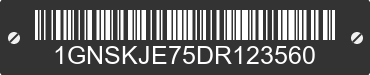 2013 CHEVROLET Suburban 1GNSKJE75DR123560 VIN decoded