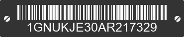 2010 CHEVROLET Suburban 1GNUKJE30AR217329 VIN decoded