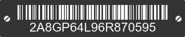 2006 CHRYSLER Town and Country 2A8GP64L96R870595 VIN decoded