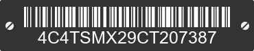 2012 CLASSIC WELDING Classic Welding 4C4TSMX29CT207387 VIN decoded