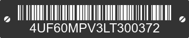 2020 CUSHMAN Cushman 4UF60MPV3LT300372 VIN decoded