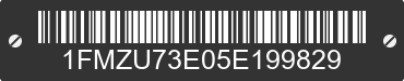 2005 FORD Explorer 1FMZU73E05E199829 VIN decoded