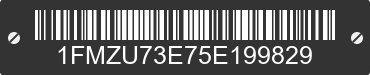 2005 FORD Explorer 1FMZU73E75E199829 VIN decoded