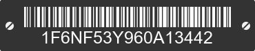 2006 FORD Motorhome Chassis 1F6NF53Y960A13442 VIN decoded