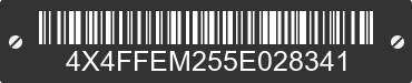 2005 FOREST RIVER FR FEMA 4X4FFEM255E028341 VIN decoded