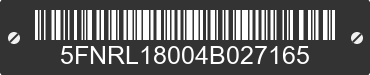 2004 HONDA Odyssey 5FNRL18004B027165 VIN decoded