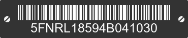 2004 HONDA Odyssey 5FNRL18594B041030 VIN decoded