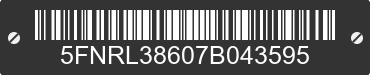 2007 HONDA Odyssey 5FNRL38607B043595 VIN decoded