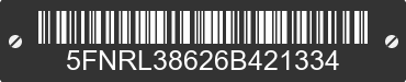 2006 HONDA Odyssey 5FNRL38626B421334 VIN decoded