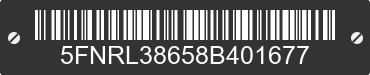 2008 HONDA Odyssey 5FNRL38658B401677 VIN decoded