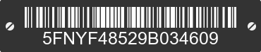 2009 HONDA Pilot 5FNYF48529B034609 VIN decoded
