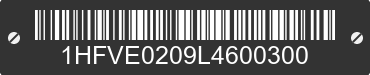 2020 HONDA Pioneer 700 1HFVE0209L4600300 VIN decoded