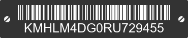 2024 HYUNDAI Elantra KMHLM4DG0RU729455 VIN decoded