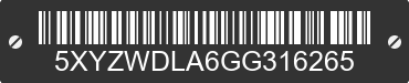 2016 HYUNDAI Santa Fe 5XYZWDLA6GG316265 VIN decoded