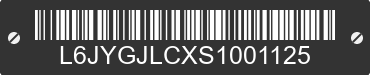 2025 KAYO Kayo L6JYGJLCXS1001125 VIN decoded