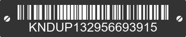 2005 KIA Sedona KNDUP132956693915 VIN decoded