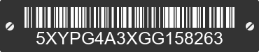 2016 KIA Sorento 5XYPG4A3XGG158263 VIN decoded