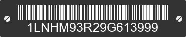 2009 LINCOLN MKS 1LNHM93R29G613999 VIN decoded