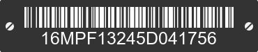 2005 MGS INCORPARATED MGS Incorparated 16MPF13245D041756 VIN decoded