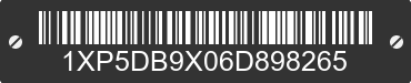 2006 PETERBILT 379 1XP5DB9X06D898265 VIN decoded