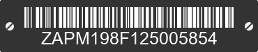 2002 PIAGGIO AND VESPA ET 4 ZAPM198F125005854 VIN decoded