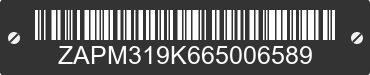 2006 PIAGGIO AND VESPA GT ZAPM319K665006589 VIN decoded
