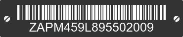 2009 PIAGGIO AND VESPA GTS/GTV ZAPM459L895502009 VIN decoded