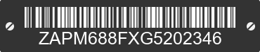 2016 PIAGGIO AND VESPA LX/LXV/S ZAPM688FXG5202346 VIN decoded