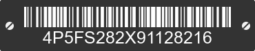 2009 PJ PJ 4P5FS282X91128216 VIN decoded