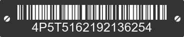 2009 PJ PJ 4P5T5162192136254 VIN decoded
