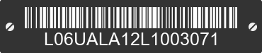 2020 TAIZHOU NEBULA POWER CO., LTD MODEL A L06UALA12L1003071 VIN decoded