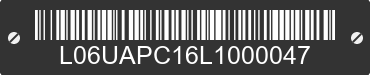2020 TAIZHOU NEBULA POWER CO., LTD MODEL A L06UAPC16L1000047 VIN decoded