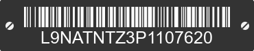 2023 TAOTAO GK L9NATNTZ3P1107620 VIN decoded