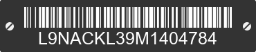 2021 TAOTAO New Cheetah L9NACKL39M1404784 VIN decoded