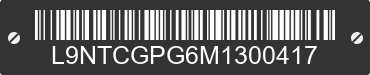 2021 TAOTAO POWERMAX (PMX) L9NTCGPG6M1300417 VIN decoded