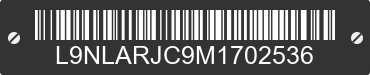 2021 TAOTAO TBR7 L9NLARJC9M1702536 VIN decoded
