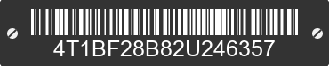 2002 TOYOTA Avalon 4T1BF28B82U246357 VIN decoded