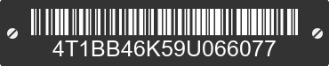 2009 TOYOTA Camry 4T1BB46K59U066077 VIN decoded