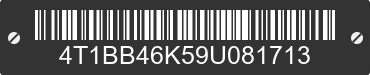 2009 TOYOTA Camry 4T1BB46K59U081713 VIN decoded