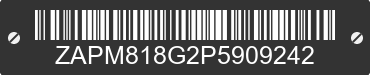 2023 VESPA Primavera / Sprint 150 ZAPM818G2P5909242 VIN decoded