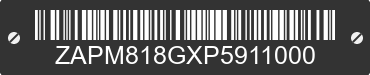 2023 VESPA Primavera / Sprint 150 ZAPM818GXP5911000 VIN decoded